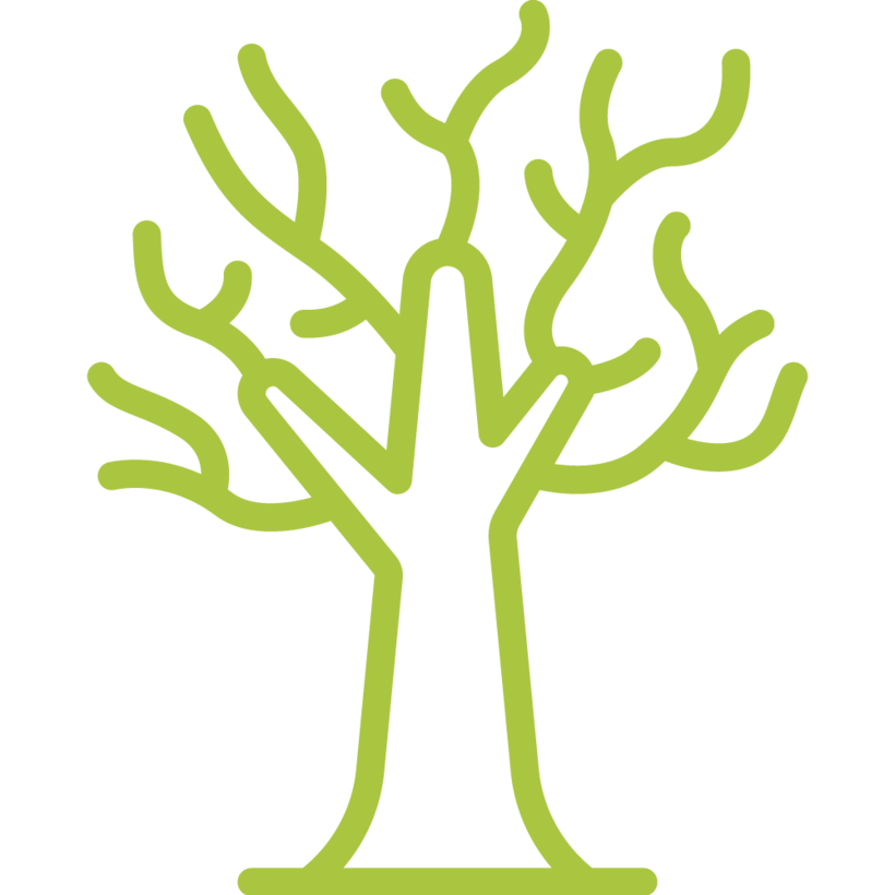 stats icon voor hectare aangemeld afgestorven fijnsparbos 96